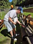 IMG-20250626-WA0043